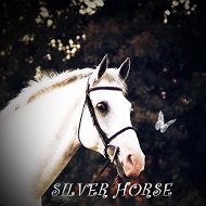 Silver Horse