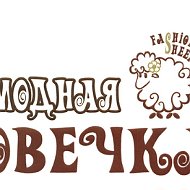 Модная Овечка