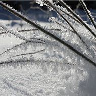 Серджіо Гаковець