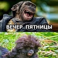 Андрей Анусевич