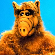 A Alf