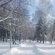 Андрей Плешев