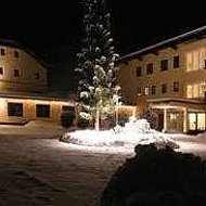 Hotel Nussdorferhof