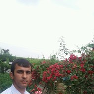 Shohzoda Jamshed