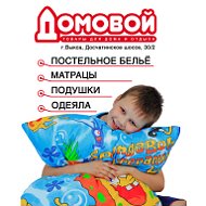 Домовой Выкса