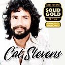 Yusuf / Cat Stevens