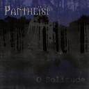 15. Pantheist - O Solitude (2003), Бельгия