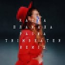  Плакала (Pasha Trimbeater Remix) (PEPSIUZ.NET)