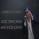 У берёз и сосен (Live)