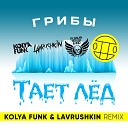 Грибы - Тает лёд (Kolya Funk & Lavrushkin Remix)