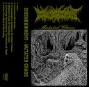 Disembodiment - Mutated Chaos (EP) (2021)