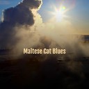 Maltese Cat Blues