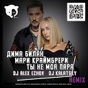 Ты Не Моя Пара (Dj Alex Ezhov &amp; DJ Kalatsky Remix Radio edit)