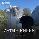 Алтын кибик (Похожая на золото)