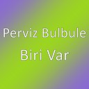 Pərviz Bülbülə