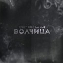 Волчица