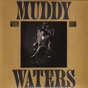 Muddy Waters - Original Album Classics. CD3