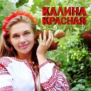 Рябина и калина