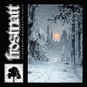 Frostnatt - Vinterens Kaldeste Natt