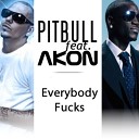 Everybody Fucks Feat Akon & David Rush