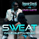 Sweat - Snoop Dogg vs David Guetta (Remix)