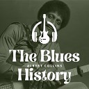 The Blues History - Albert Collins