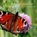 le vol du papillon