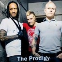 The PRODIGY Psychedelic Remixes