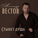 АЛЕКСАНДР ВЕСТОВ 2014-СТЫНЕТ ДУША=ВД