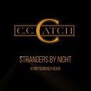 Strangers By Night (Ayur Tsyrenov Remix)