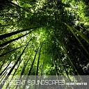 Ambient SoundScapes, Vol. 26