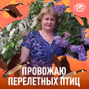 Любовь Прокопенко