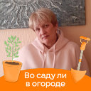 Наталья Серова