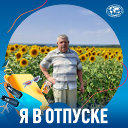 Владимир Дольников