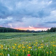 Евдокия Князева