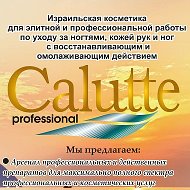 Компания Calutte