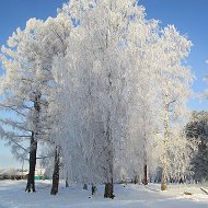 Кдц Евдокимовский