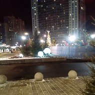 Рома Боров