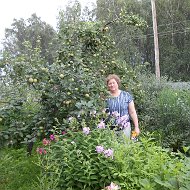 Галина Плугатырева