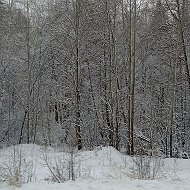 Владимир Разуваев