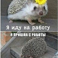 Любовь Безнуско