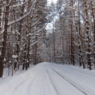 Александр Каму