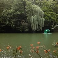 Валентинсвітлана Білошкурський