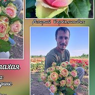 Розарий Серёжниковых🌹