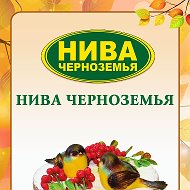 Нива Черноземья