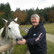 Анатолий Песня