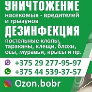 Ozon Bobr