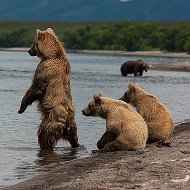 Вугар Гусейнов