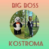 Bigboss Kostroma