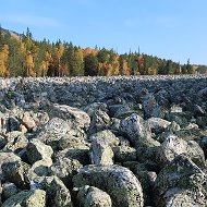 Светлана Перегуд